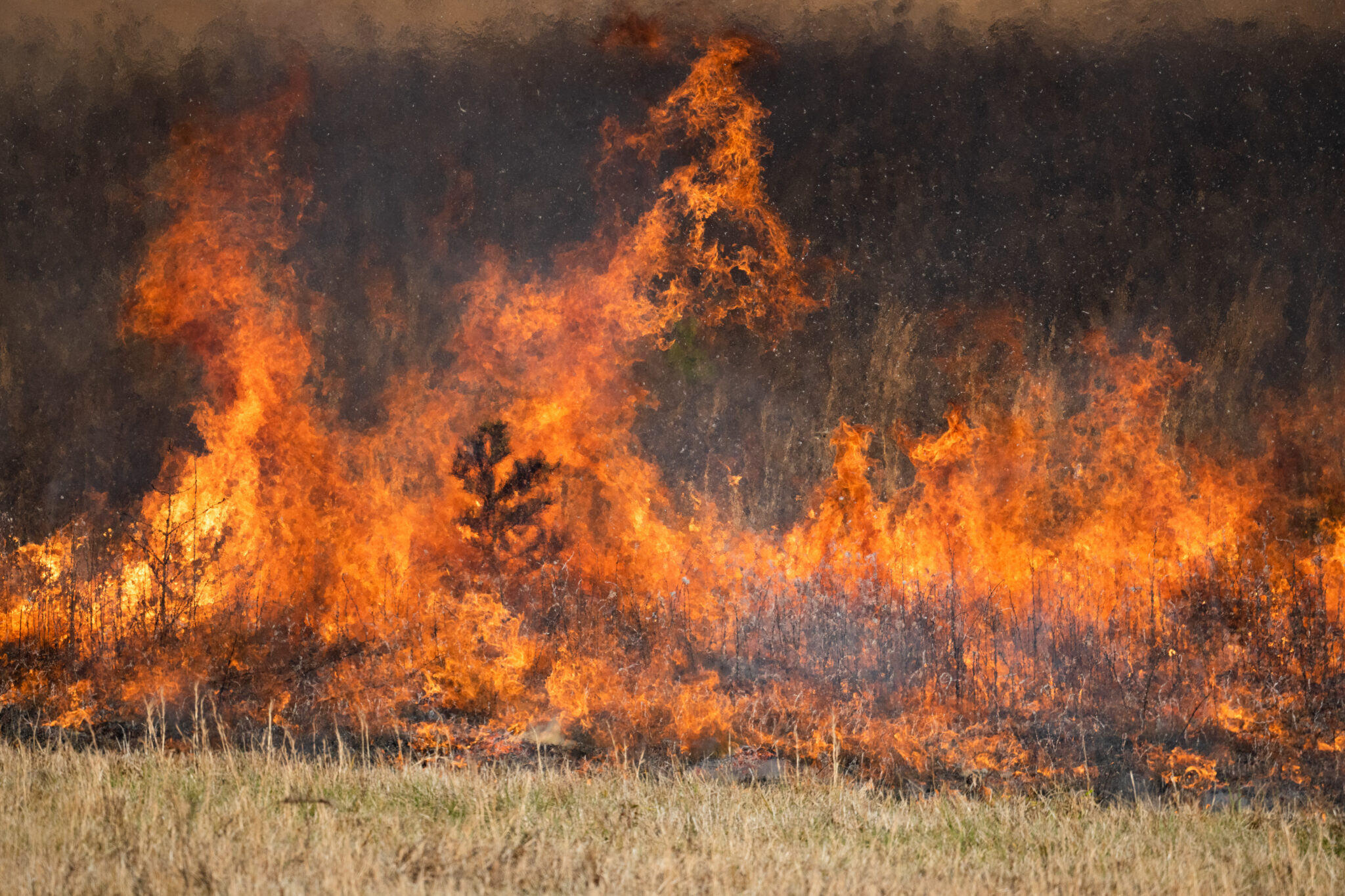 photo of a field on fire