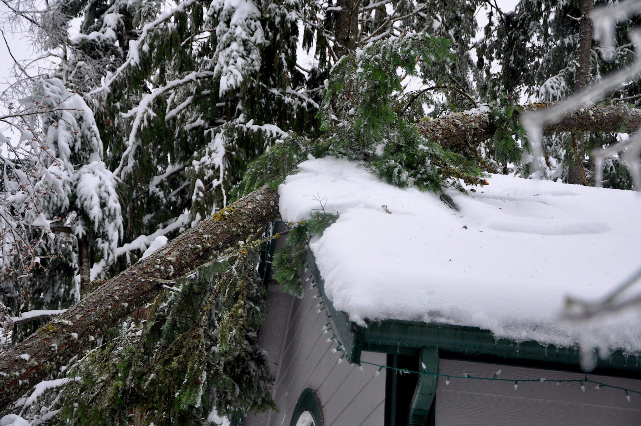 photo of a house with snow and a fallen tree on the roof due to ice storm